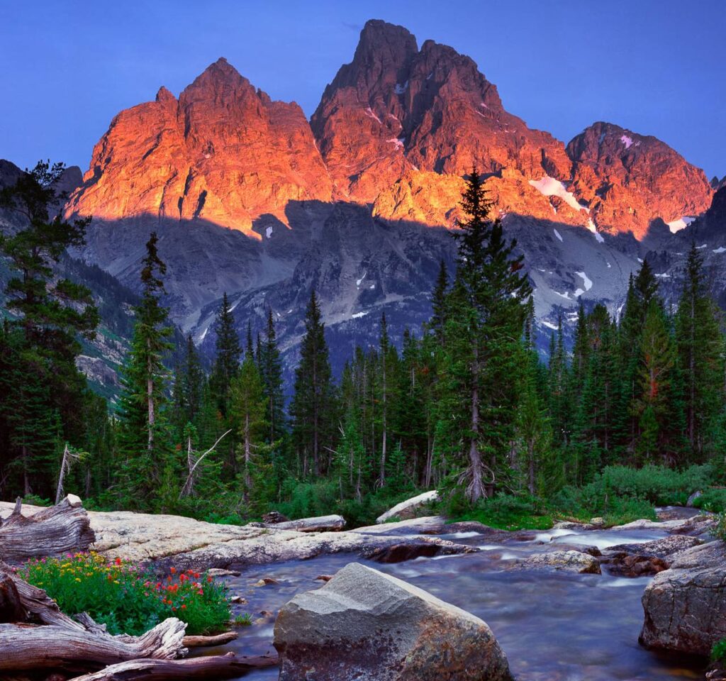 Incorporate in Wyoming